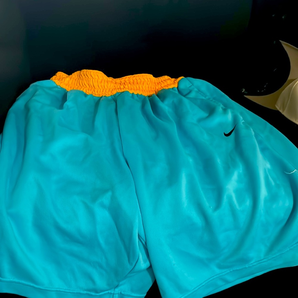 Men Nike Shorts Brand New